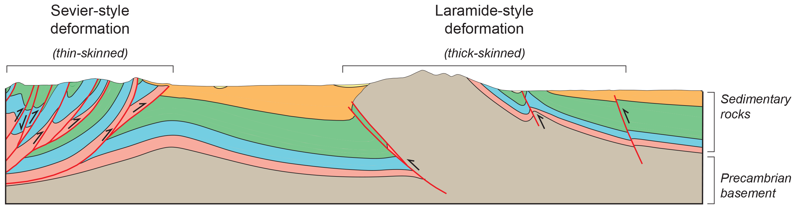 Sevier-style and Laramide-style deformation cross section